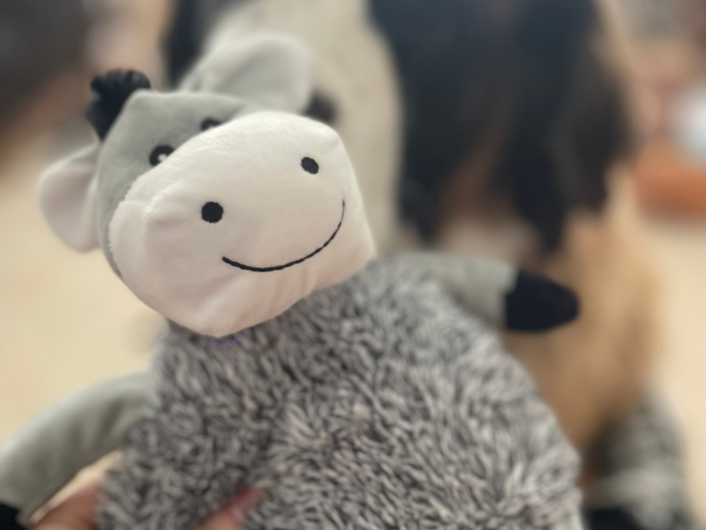 Dog Toy for Giant Breed